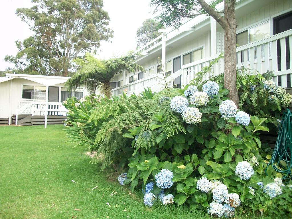 Top of the Lake Holiday Units Pensión Merimbula Exterior foto