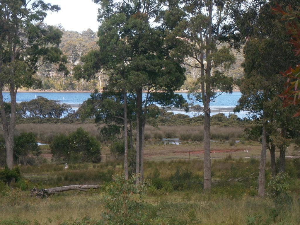 Top of the Lake Holiday Units Pensión Merimbula Exterior foto