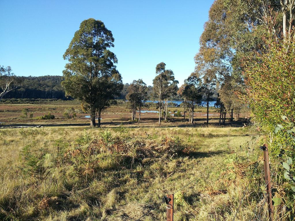Top of the Lake Holiday Units Pensión Merimbula Exterior foto